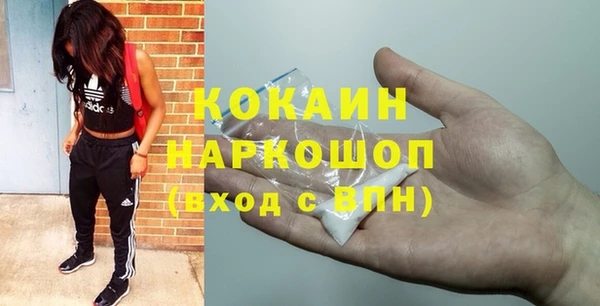 таблы Гусев