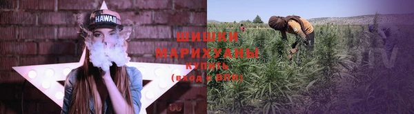 таблы Гусев