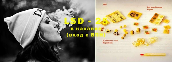 таблы Гусев