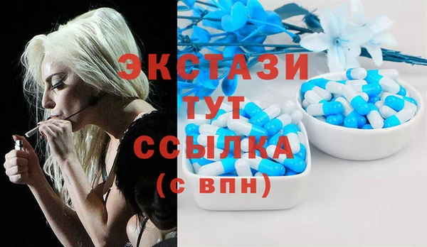 таблы Гусев