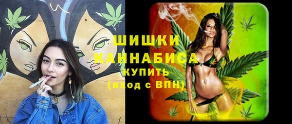шишки Щёлкино