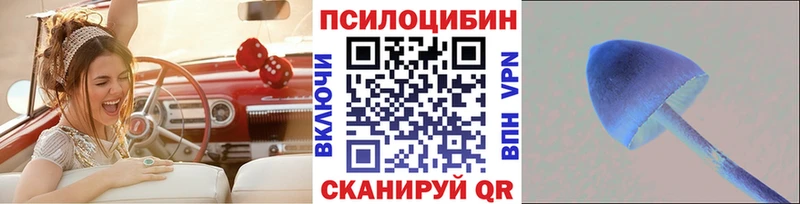 маркетплейс Telegram  хочу наркоту  hydra сайт  Обоянь  Псилоцибиновые грибы мицелий 